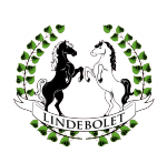 RIDFÖREN LINDEBOLARNA logotyp
